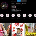 پت شاپ اکسین