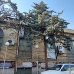 الهادی