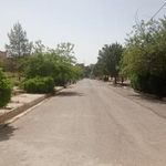 مجتمع فرهنگی رفاهی دانشگاه آزاد شیراز