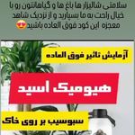 هاکان مارکت