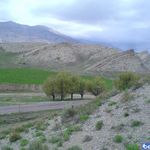 روستای دربادام