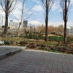 بوستان بنفشه