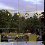 غذای سالم و گاهی فرشا 