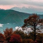 جنگل الیمستان