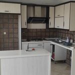 محمدرضا مرادآبادی