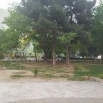 بوستان اقاقیا