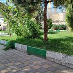 پل یعقوبیه