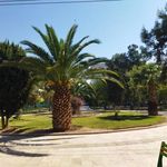 بوستان اقاقیا