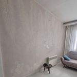 پتینه و میکروسمنت مَرال
