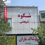 آموزشگاه زبان شکوه شریعتی ( قلهک)