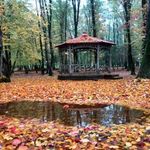 پارک جنگلی گیسـوم (درستکار)