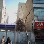 دکتر مریم ملک زاده