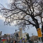ایستگاه اتوبوس گاز 3