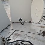 محمد ملکی سرخه لیژه