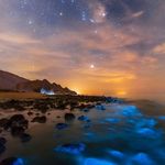 شركت خدمات مسافرتي