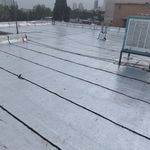 جلیل محمودی پور