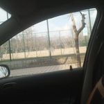 مجتمع زمین چمن فوتبال