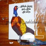 پرورش قرقاول پهلوانی