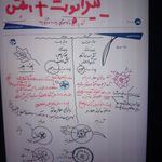 وکیل مریم پورسلیمی