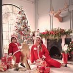 آتلیه تخصصی بارداری کودک نوزاد لاوین