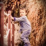 آتلیه تخصصی بارداری کودک نوزاد لاوین