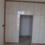 رضا حبیبی