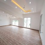 امیر شاهزاده فرد