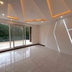 امیر شاهزاده فرد