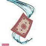 قالیشویی عباس آباد