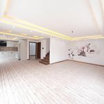 امیر شاهزاده فرد