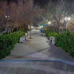 باغ هنر شیراز