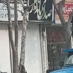 فروشگاه صوتی و تصویری صدای ماندگار