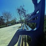باغ هنر شیراز