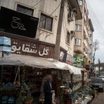 گل روز