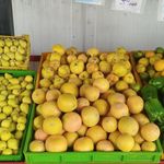 میدان میوه و تره بار شهرک رضوان