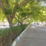 مجتمع پامچال