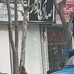 فروشگاه صوتی و تصویری صدای ماندگار
