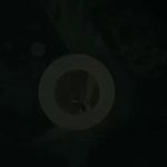 آتلیه تخصصی بارداری کودک نوزاد لاوین