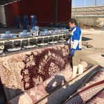 قالیشویی آبنوس