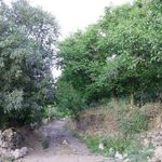 روستای اردها