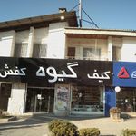 کیف و کفش دکتر گیوه