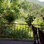 ویلا اجاره ای زینب علی اکبری