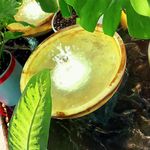 کافه و رستوران اورامان