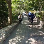 فرهنگسرای ملل