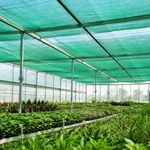 توری مارکت