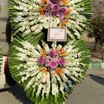 گل فروشی دنیز آنلاین (شعبه 2)