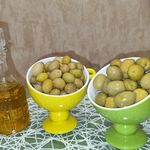 مهرگان فرآور طارم تولید کننده زیتون