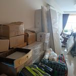 محمد جواد زارع