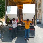 محمد جواد زارع