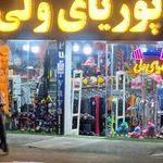 پوریای ولی